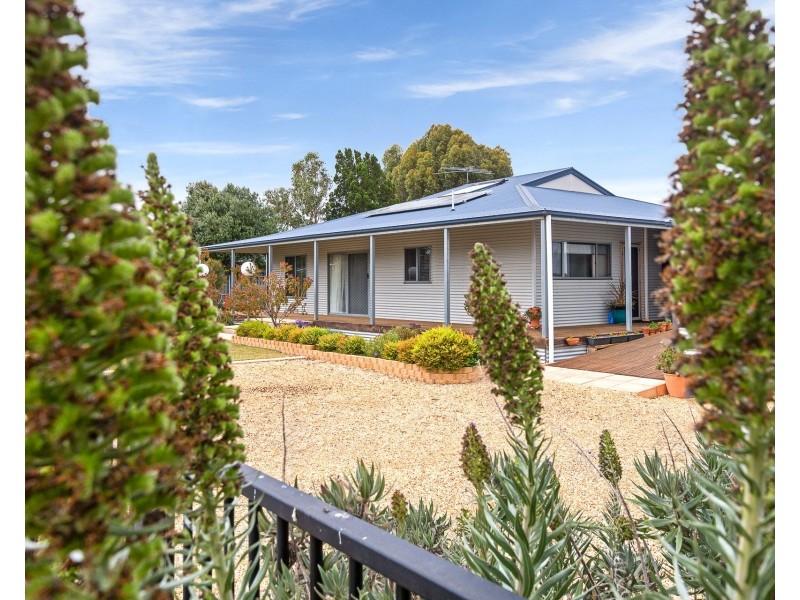 35 Pretoria Street, Tailem Bend SA 5260