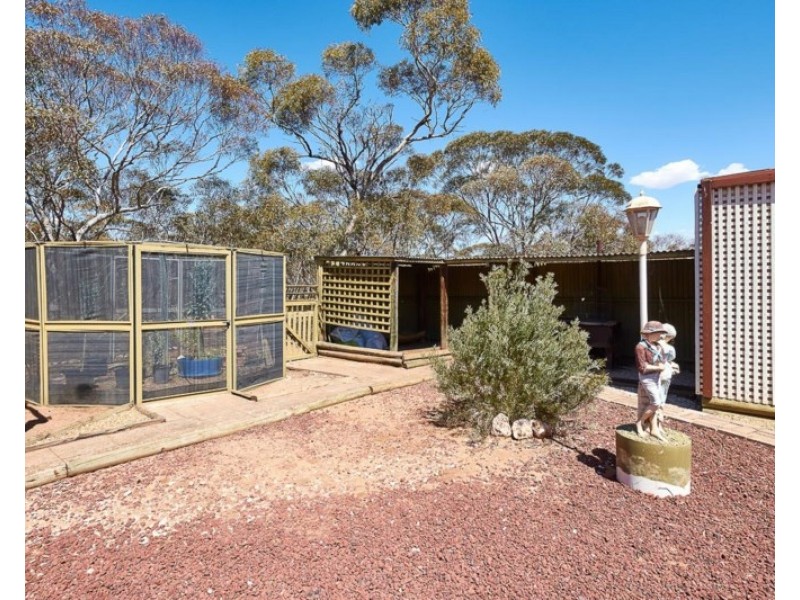 386 Codrington Road, Mannum SA 5238