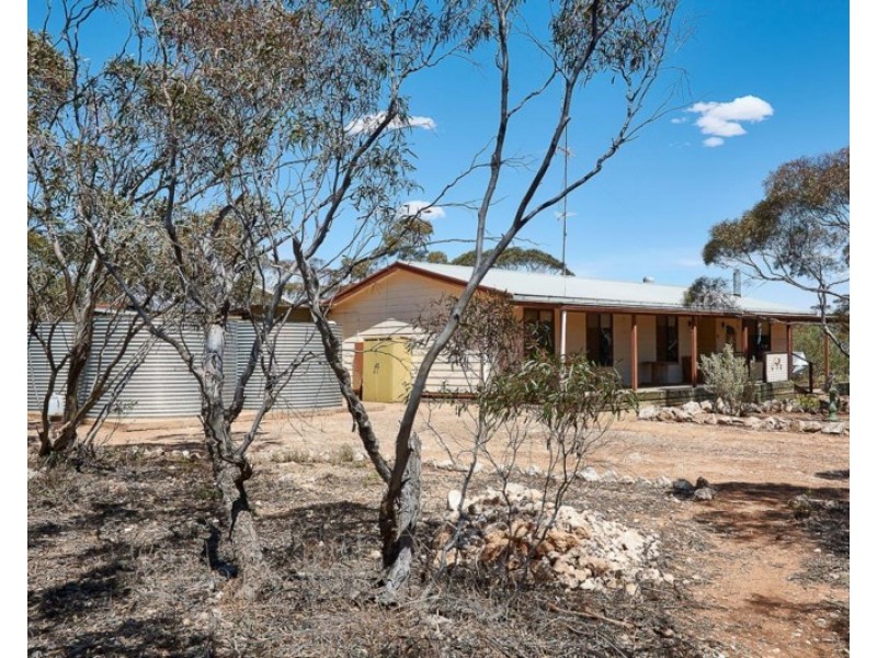386 Codrington Road, Mannum SA 5238