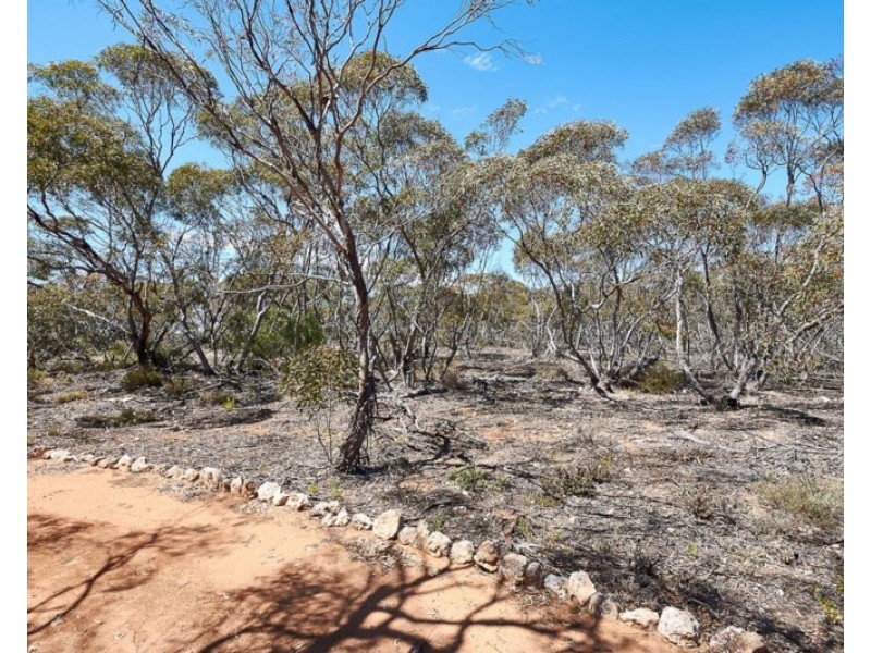 386 Codrington Road, Mannum SA 5238