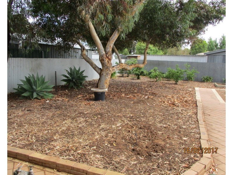 6 Robin Street, Murray Bridge SA 5253