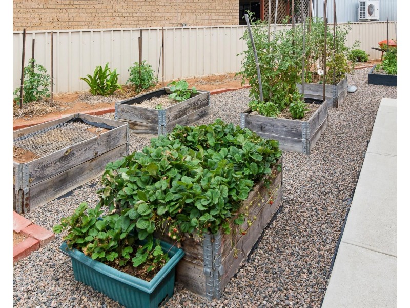 1 Bradley Court, Murray Bridge SA 5253