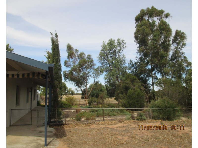 843 Coalfield Road, Tailem Bend SA 5260