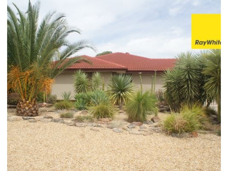 11 Mellor Road, Murray Bridge SA 5253