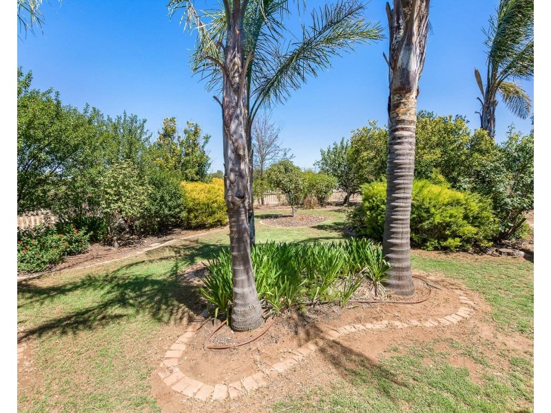 35 Kuchel Road, Murray Bridge SA 5253