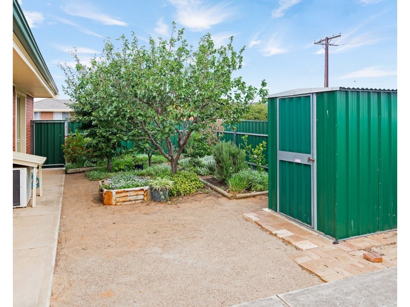 22 Zerna Avenue, Murray Bridge SA 5253