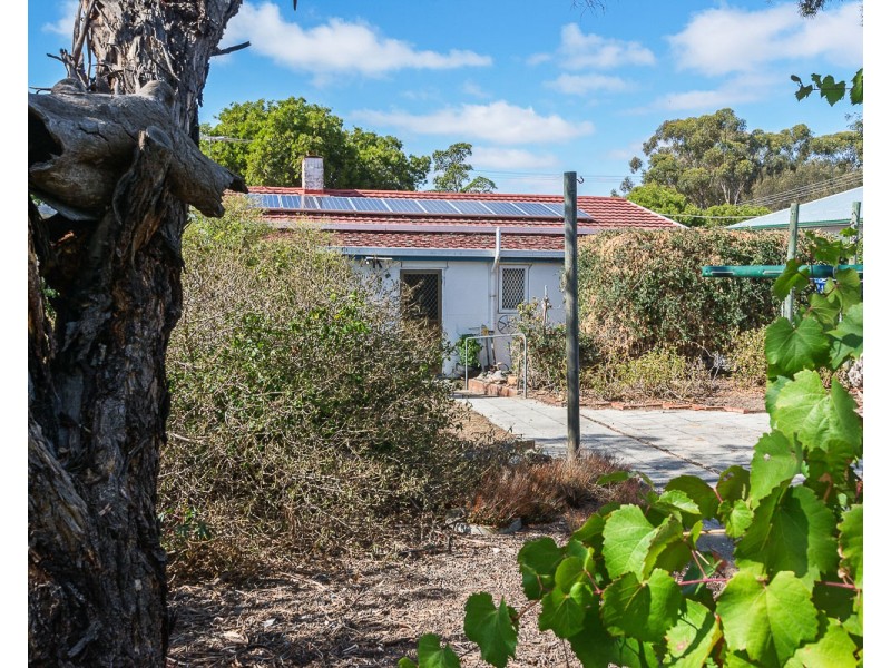 13 Hirt Avenue, Murray Bridge SA 5253