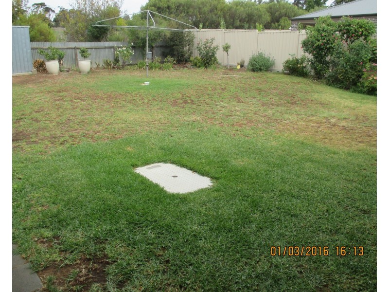 9 Swan Road, Murray Bridge SA 5253