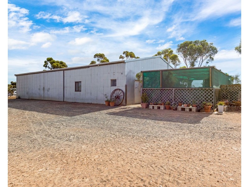 69 Kuchel Road, Murray Bridge SA 5253