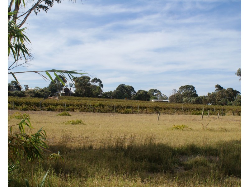 Lot 61 Billabong Road, Mypolonga SA 5254