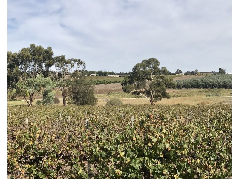 Lot 61 Billabong Road, Mypolonga SA 5254