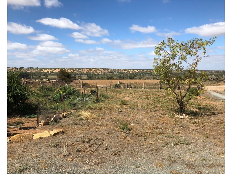 1097 Pellaring Flat Road, Mannum SA 5238