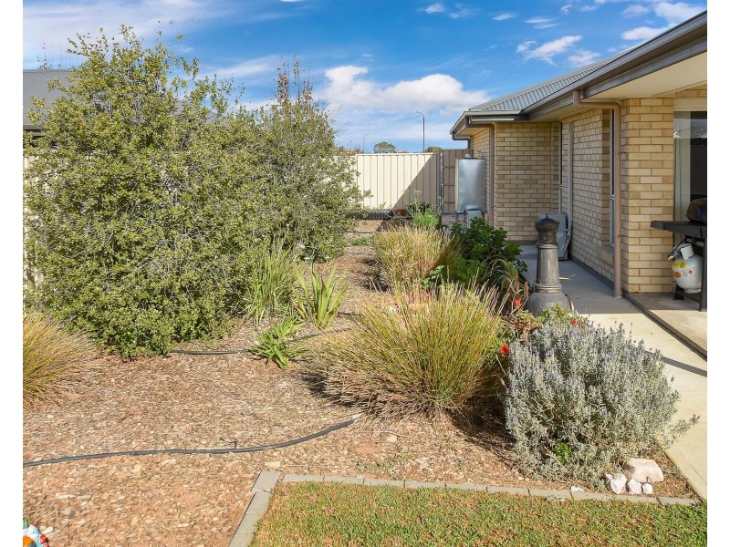 9 Richard Court, Murray Bridge SA 5253