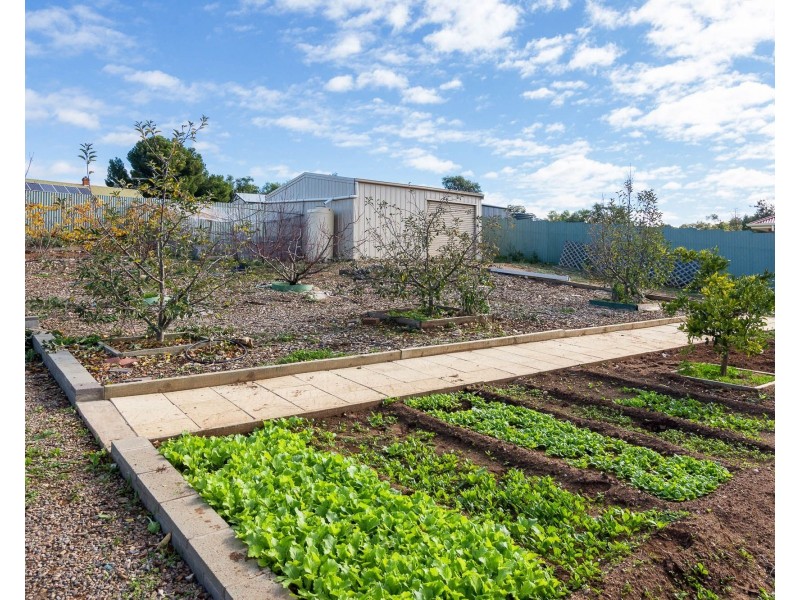 192 Mannum Road, Murray Bridge SA 5253