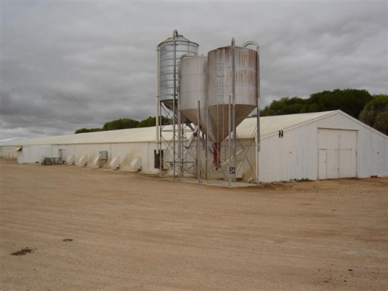 Sections 989 and 1051 Mypolonga Road and Carawatha Drive, Mypolonga SA 5254