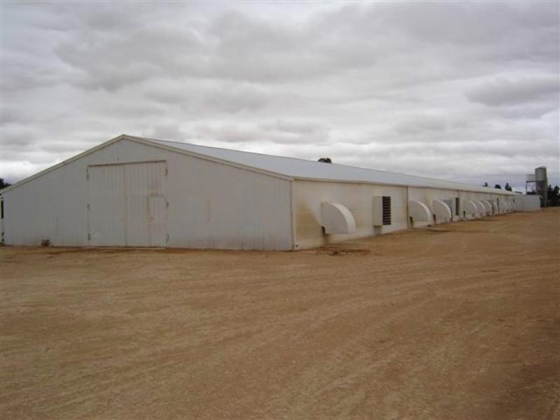 Sections 989 and 1051 Mypolonga Road and Carawatha Drive, Mypolonga SA 5254