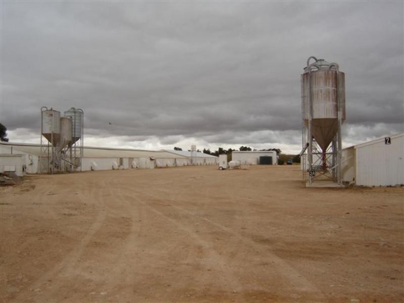 Sections 989 and 1051 Mypolonga Road and Carawatha Drive, Mypolonga SA 5254