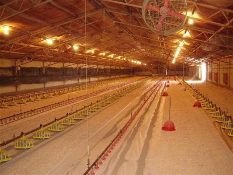 Sections 989 and 1051 Mypolonga Road and Carawatha Drive, Mypolonga SA 5254