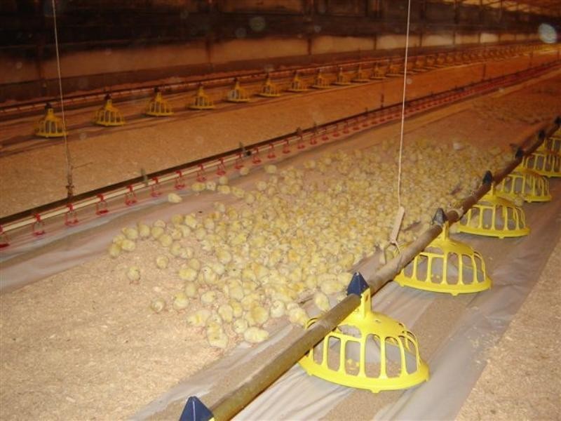 Sections 989 and 1051 Mypolonga Road and Carawatha Drive, Mypolonga SA 5254