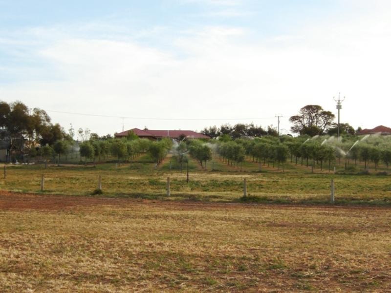 9 Virgo Road, Murray Bridge SA 5253