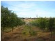 9 Virgo Road, Murray Bridge SA 5253