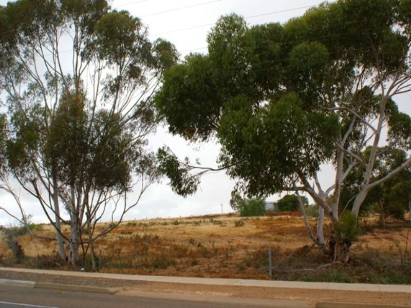 Lot 161 Princes Highway, Murray Bridge SA 5253