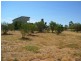 Lot 1 George Mason Street, Wellington SA 5259