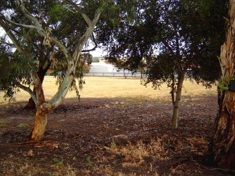 13 Parish Crescent, Murray Bridge SA 5253