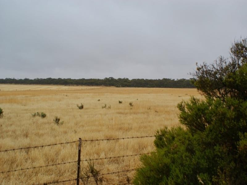 Lot 244 Flagstaff Road, Murray Bridge SA 5253