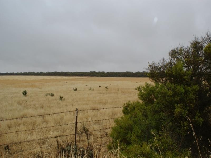 Lot 244 Flagstaff Road, Murray Bridge SA 5253