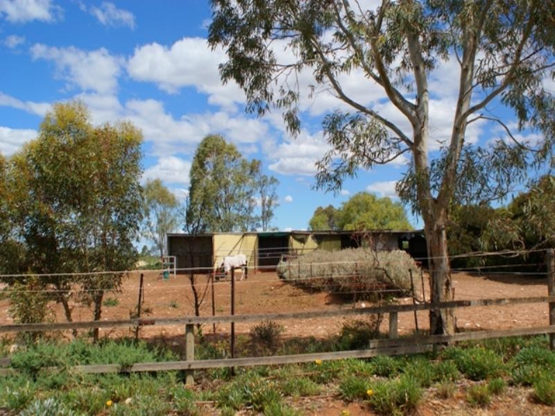 Sec 589 Princes Highway, Murray Bridge SA 5253