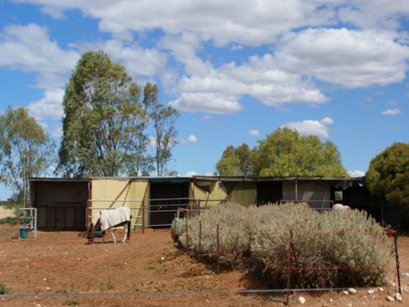 Sec 589 Princes Highway, Murray Bridge SA 5253