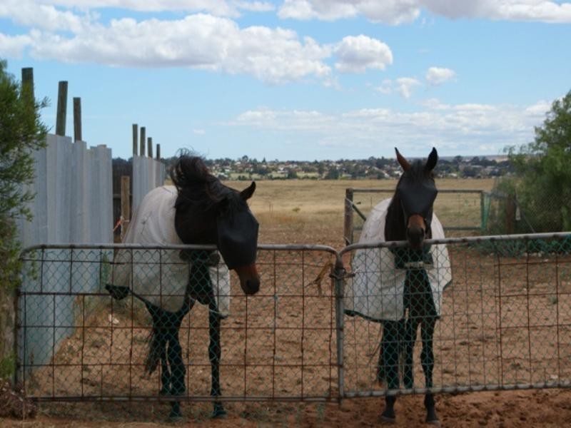 Sec 589 Princes Highway, Murray Bridge SA 5253