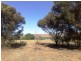 House 1 @ 220 Murray Drive, Murray Bridge SA 5253