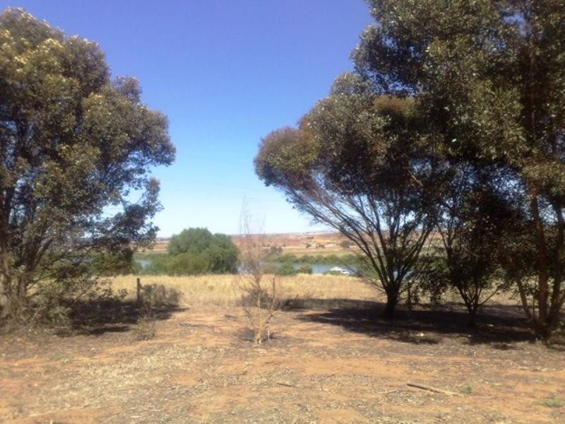 House 1 @ 220 Murray Drive, Murray Bridge SA 5253