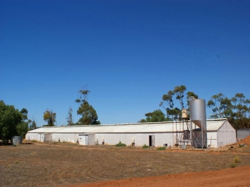 Lot 11 Rocky Gully Road, Murray Bridge SA 5253