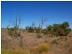 Lot 241 Cnr Flagstaff and Pfeiffers Roads, Murray Bridge SA 5253