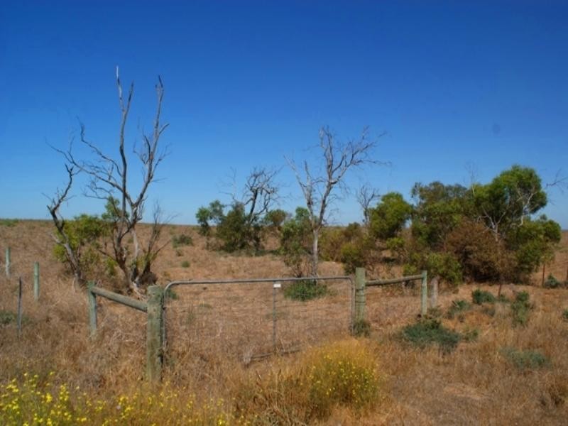 Lot 241 Cnr Flagstaff and Pfeiffers Roads, Murray Bridge SA 5253