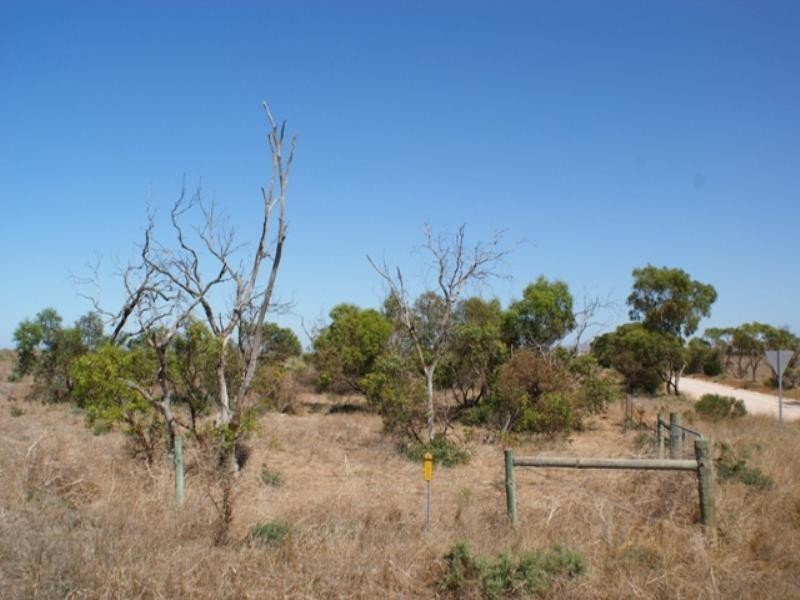 Lot 241 Cnr Flagstaff and Pfeiffers Roads, Murray Bridge SA 5253