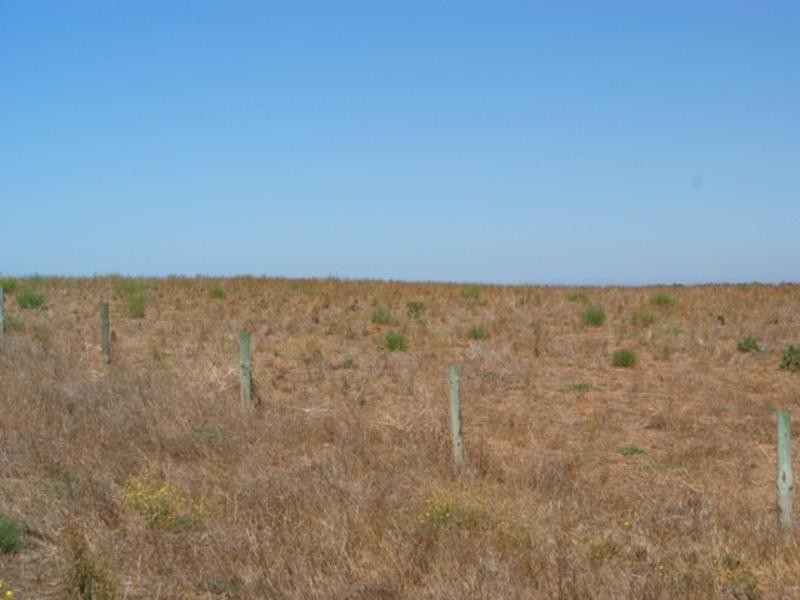 Lot 241 Cnr Flagstaff and Pfeiffers Roads, Murray Bridge SA 5253