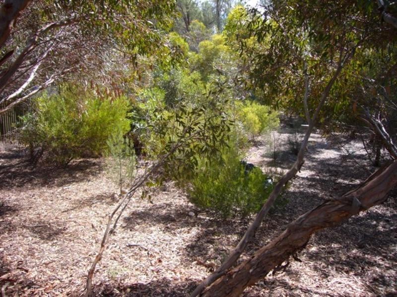 17 Florence Street, Murray Bridge SA 5253