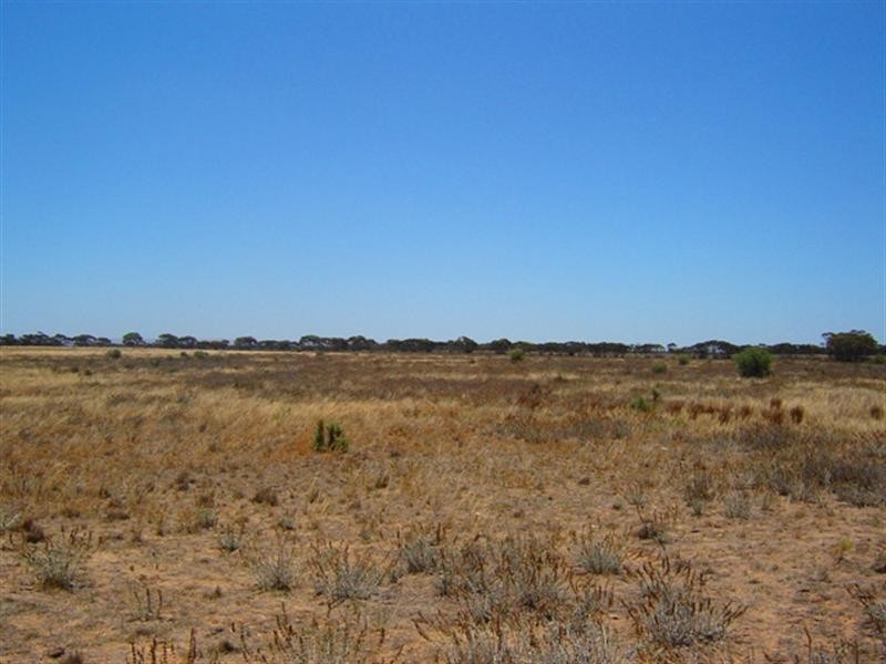 Sec 722 Lynch Lane, Mypolonga SA 5254