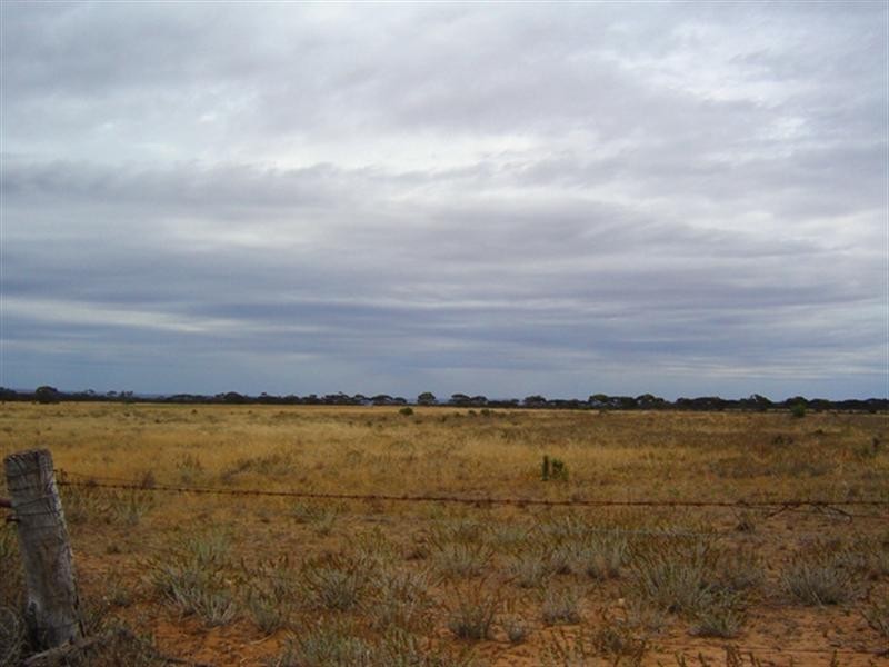 Sec 722 Lynch Lane, Mypolonga SA 5254