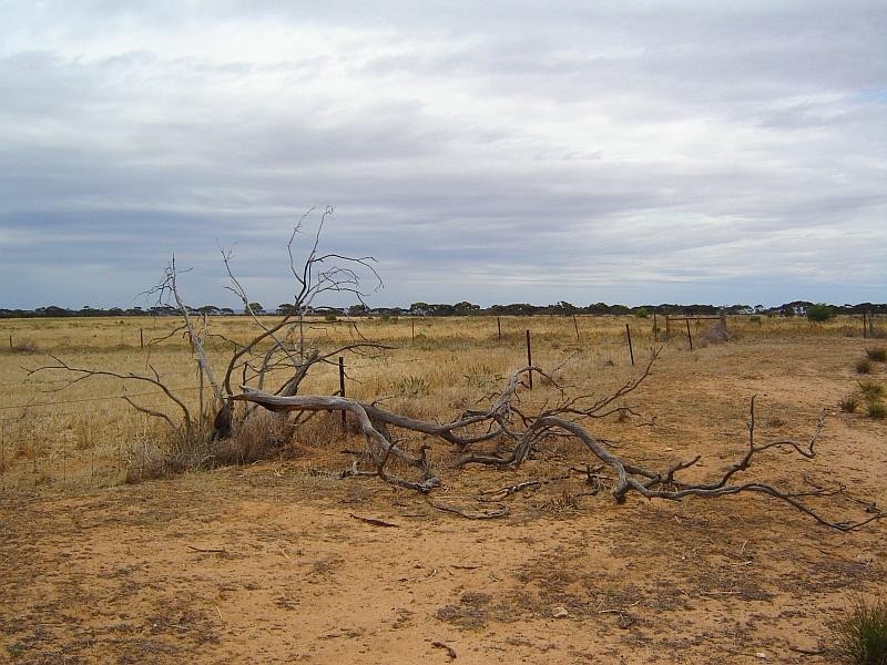 Sec 722 Lynch Lane, Mypolonga SA 5254