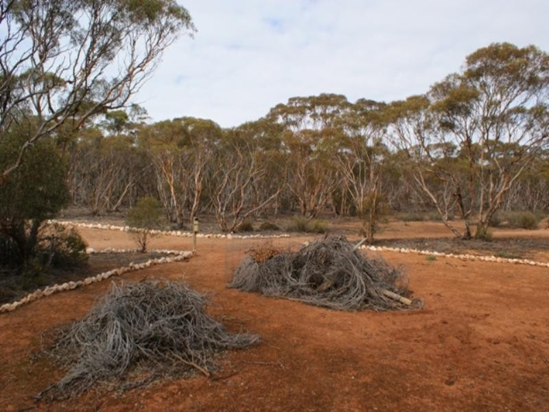 Lot 131 Codrington Road “Kakoonie” via Mannum, Mannum SA 5238