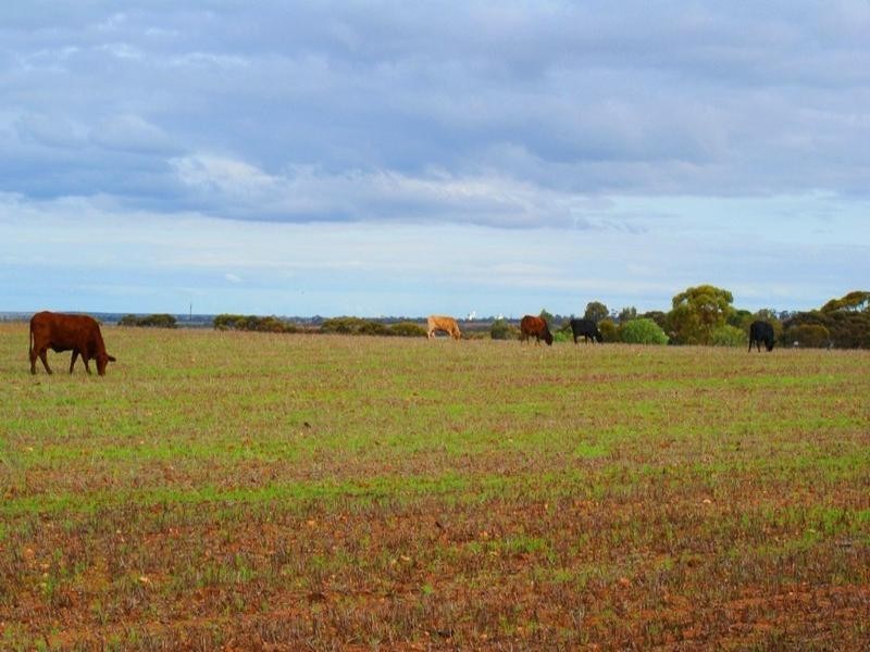 Lot 1 Monarto Road, Monarto SA 5254