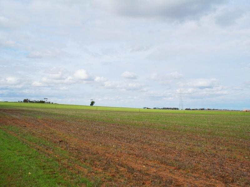 Lot 1 Monarto Road, Monarto SA 5254