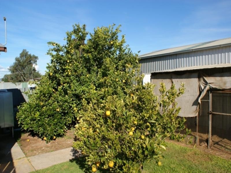 84 Thomas Street, Murray Bridge SA 5253