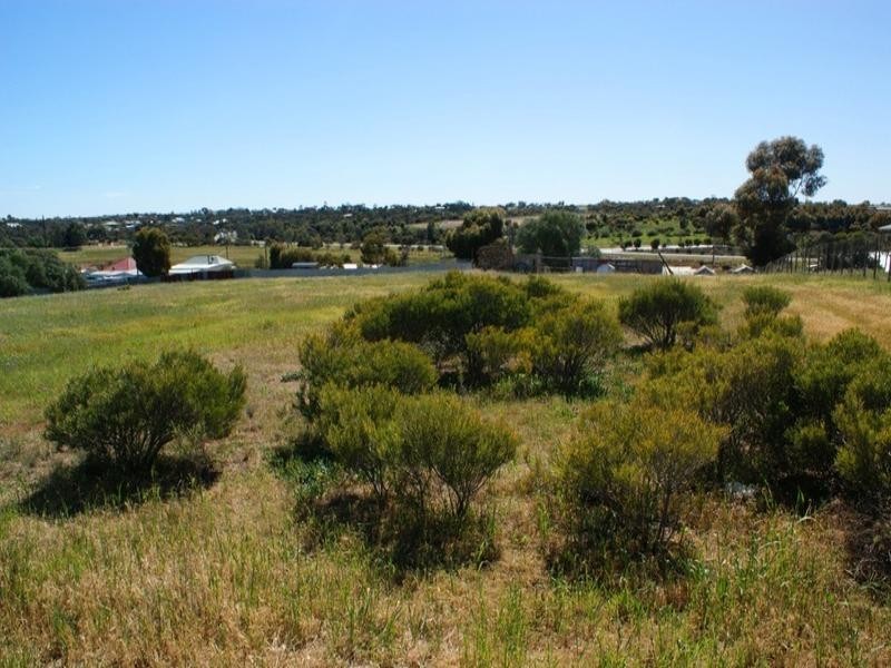 Lot 20 Chaucer Street, Murray Bridge SA 5253