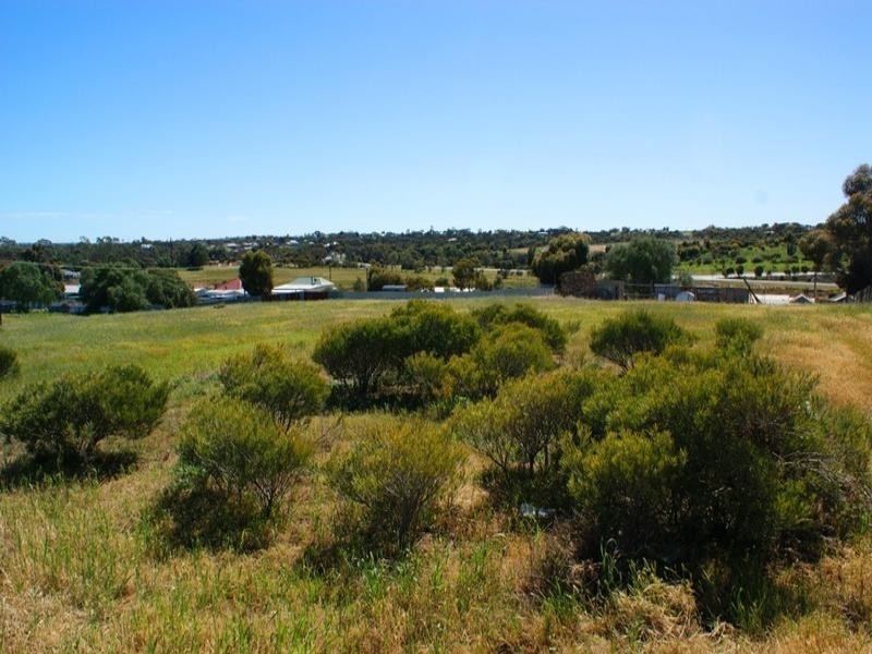 Lot 20 Chaucer Street, Murray Bridge SA 5253